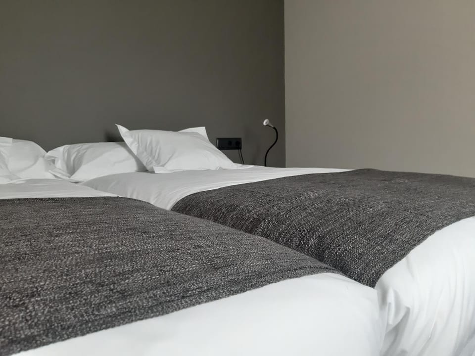 Hotel Els Avets de Camprodon Hotel in Camprodon