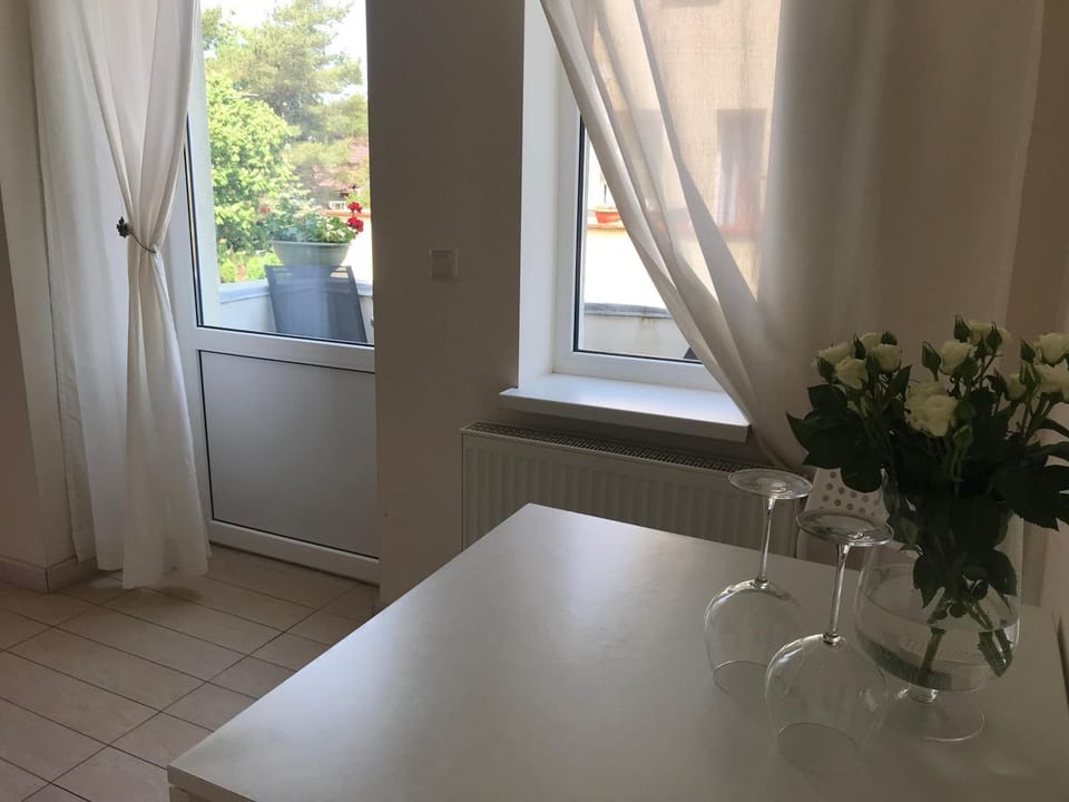 Apartamentai Birutes alejoje Apartment in Palanga