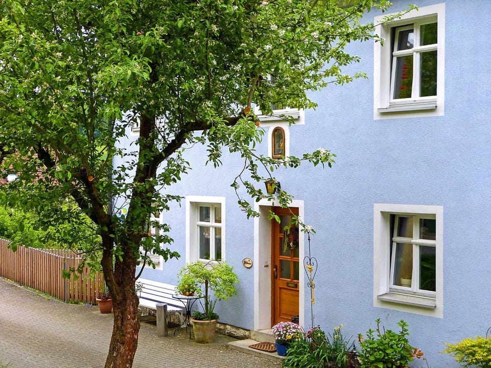 Property building, Garden view