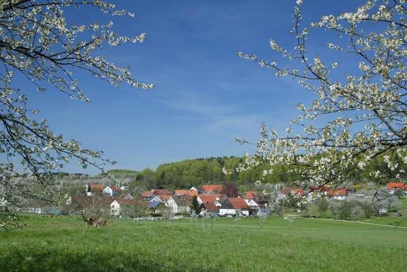 Spring, Day, Natural landscape