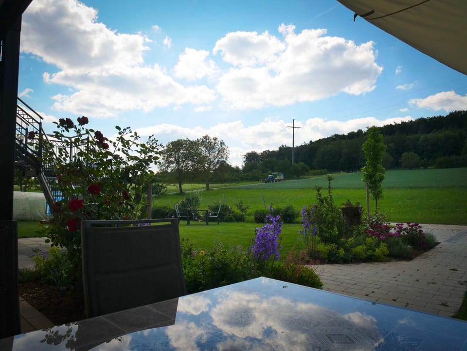Spring, Day, Natural landscape, Garden, Garden view