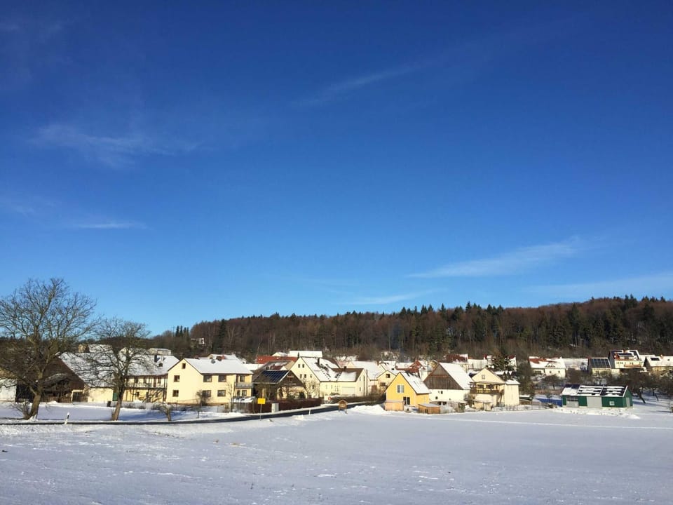 Day, Natural landscape, Winter, View (from property/room)