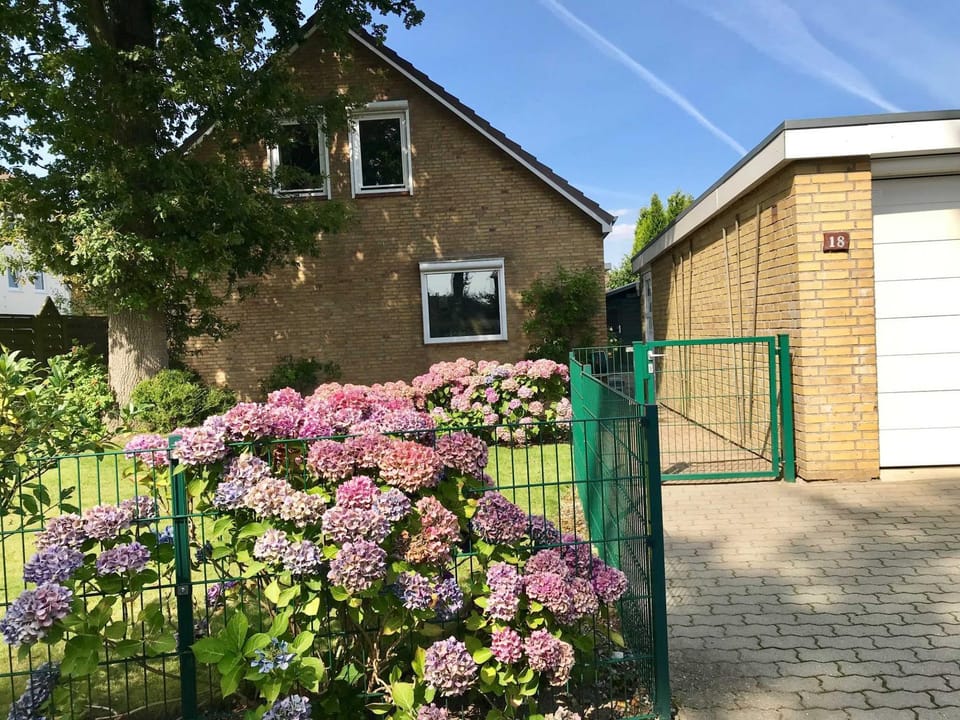 Property building, Garden