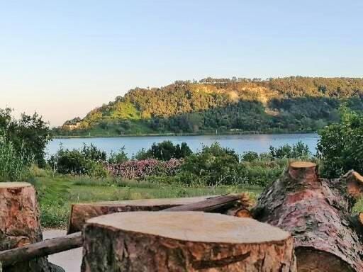 Lake view