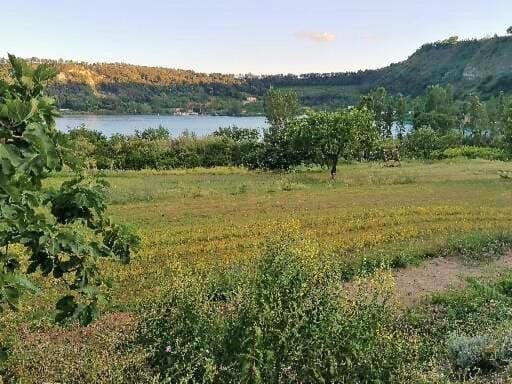 Garden, Hiking, Garden view, Lake view
