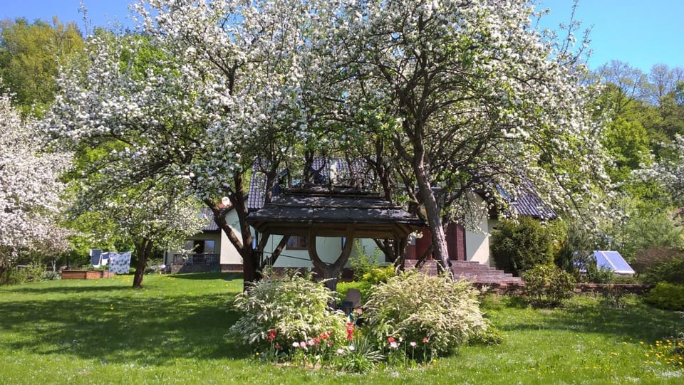 Property building, Garden