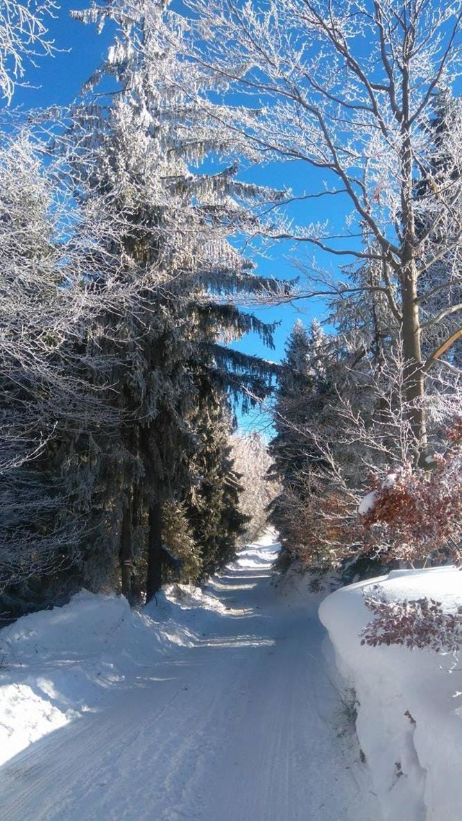 Natural landscape, Winter, Hiking