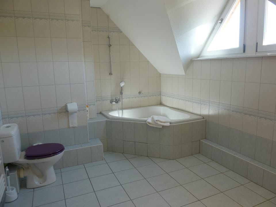 Toilet, Bathroom, Bath, towels