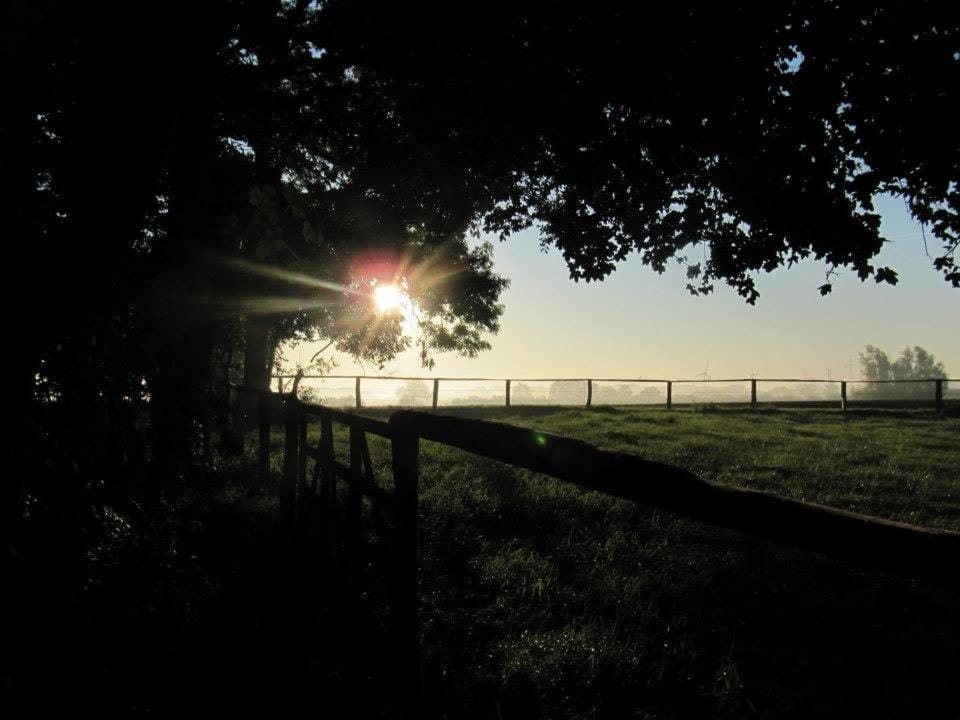 Natural landscape