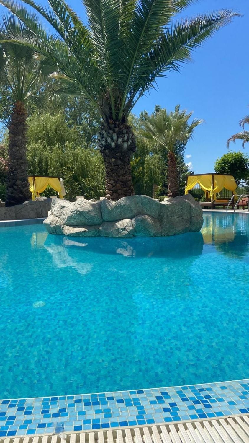 Day, Garden, Garden view, Pool view, Swimming pool, sunbed