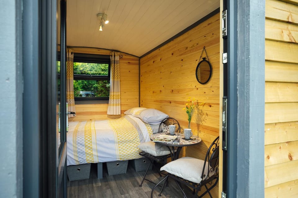 Bed, Seating area, Dining area, Bedroom