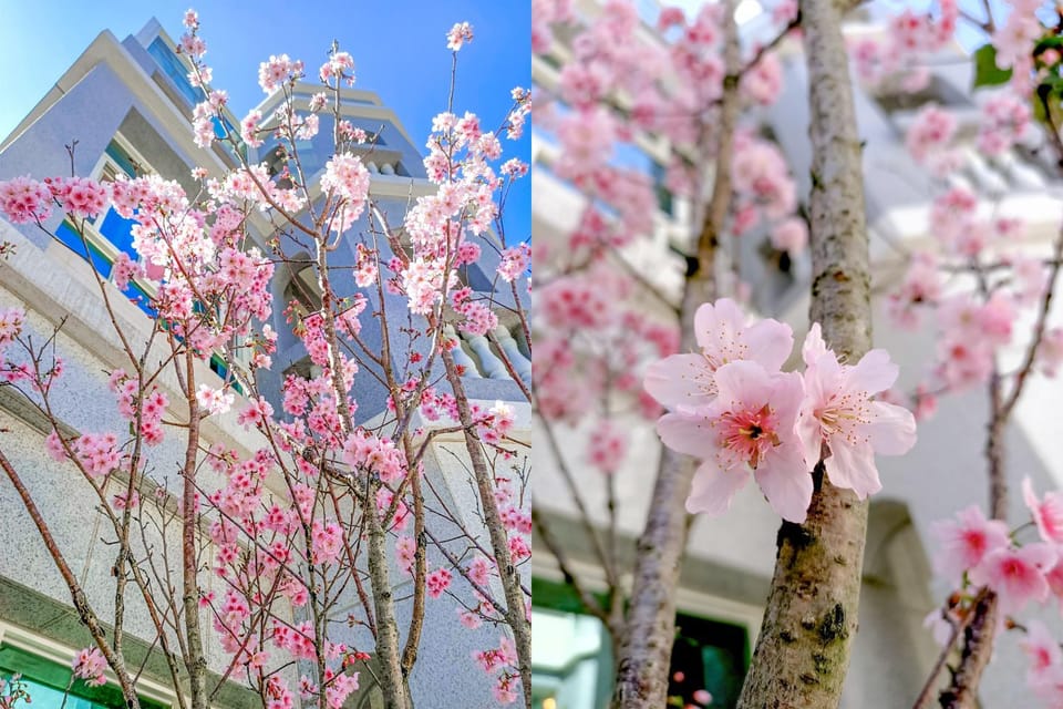 林居民宿 Vacation rental in Fujian