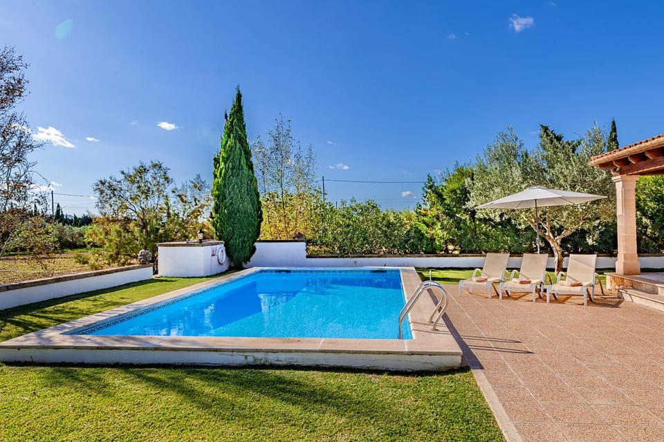 Garden, Pool view, Swimming pool, sunbed