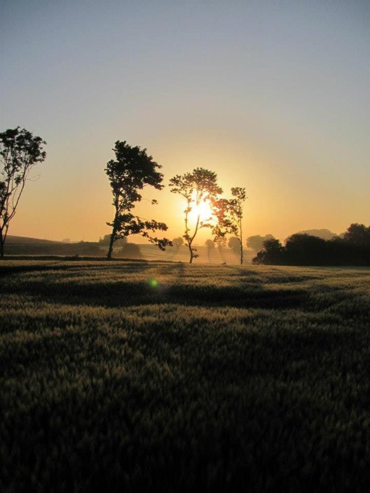 Neighbourhood, Natural landscape