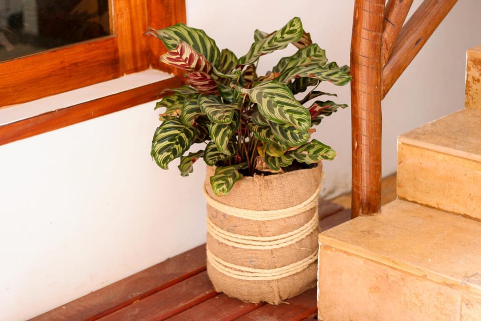 Casa Mirella Jeri Apartment in Jericoacoara
