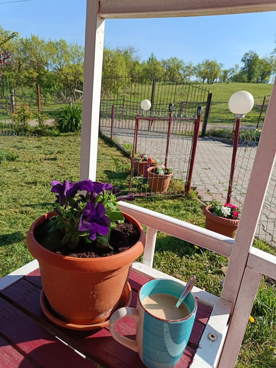 View (from property/room)