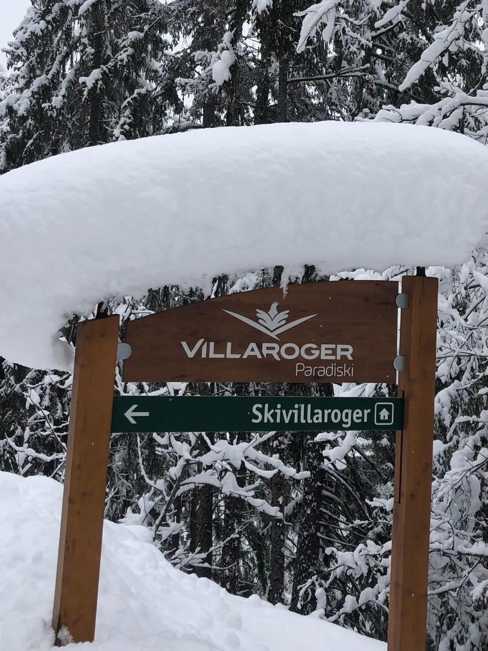 Property logo or sign, Winter