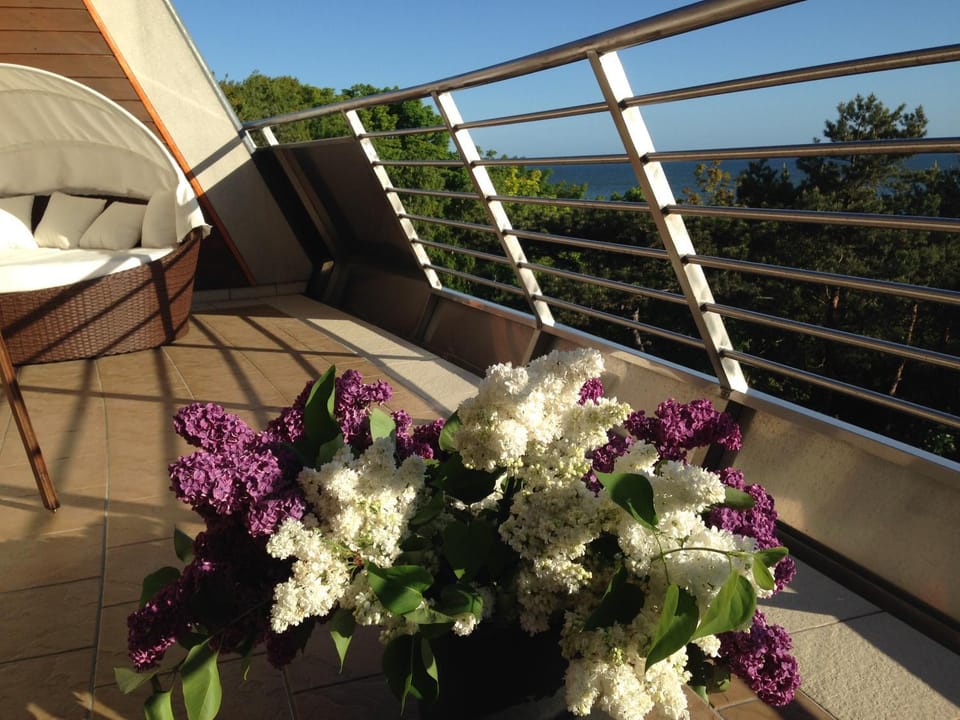 Day, View (from property/room), Balcony/Terrace