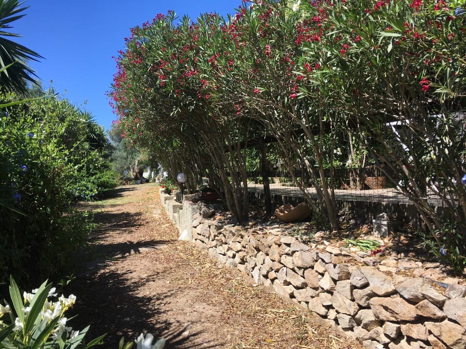 Property building, Facade/entrance, Garden, Floor plan, Text overlay, Garden view