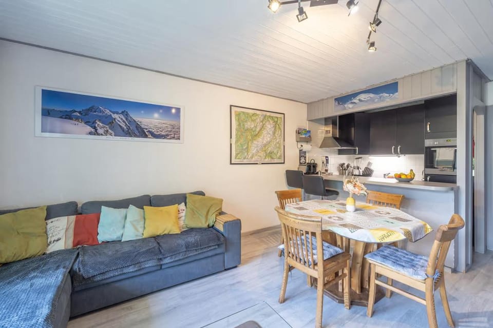 Chamonix centre, 51m2, vue Mt Blanc, 2 à 6 pers, 2 balcons Apartment in Chamonix