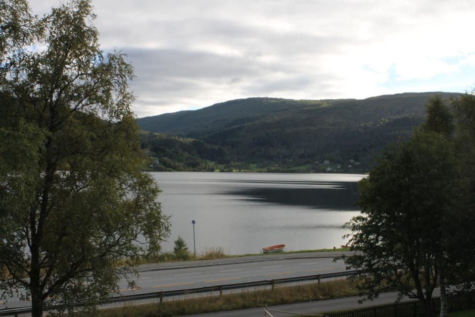 Voss- Oppheim suite private cozy cabin Cabin in Vestland
