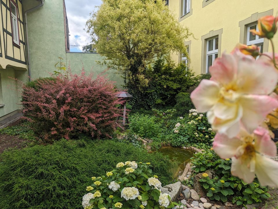 Garden view