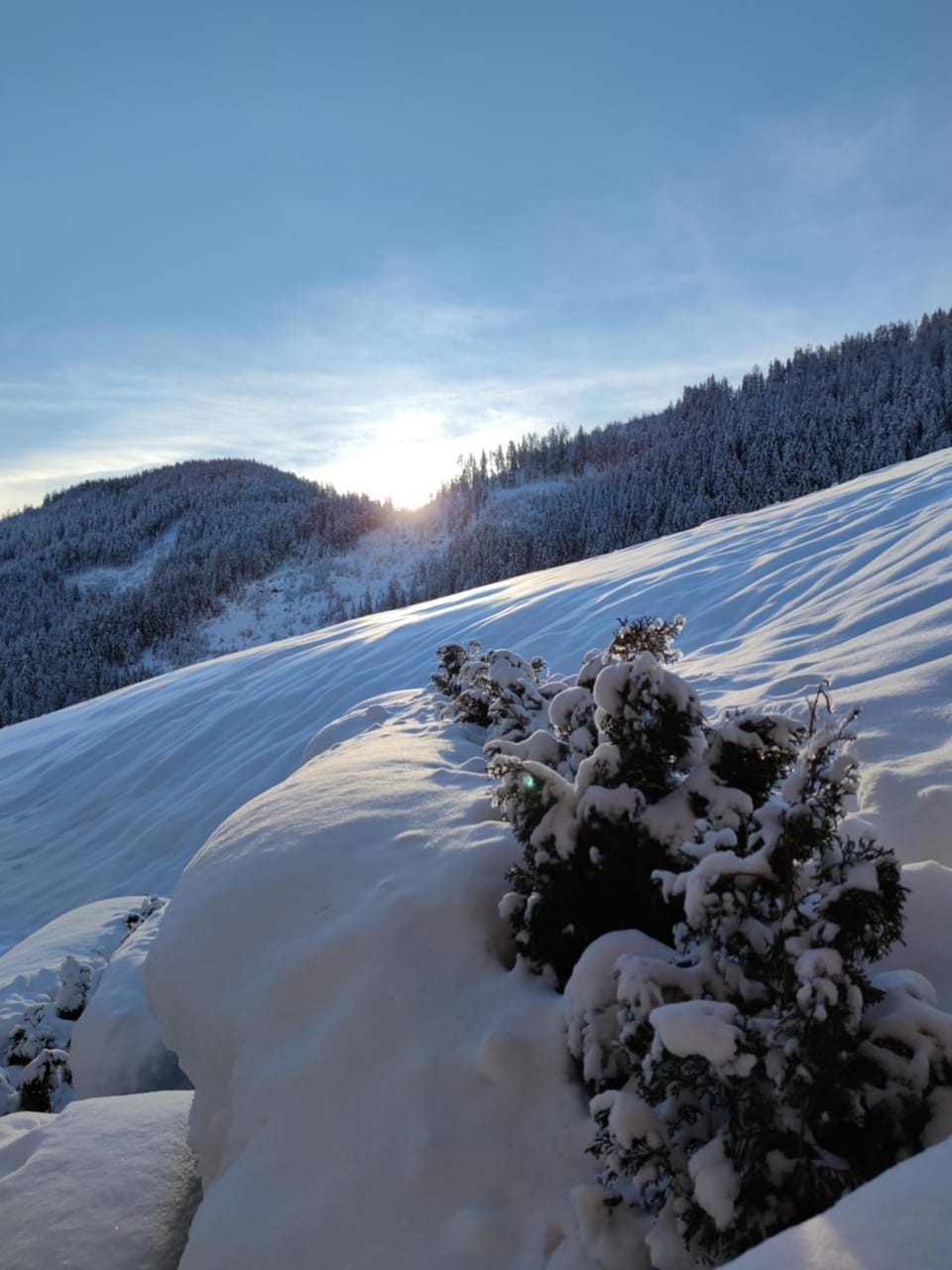Batacör - Natures Heartbeat Chalet in Trentino-South Tyrol