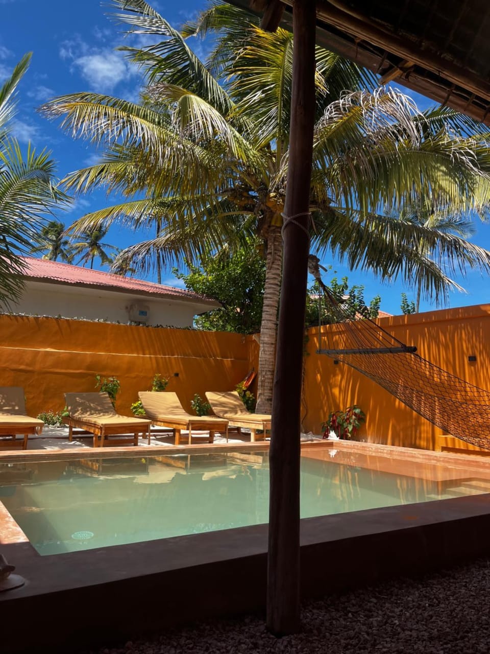 Day, Pool view, Swimming pool, sunbed