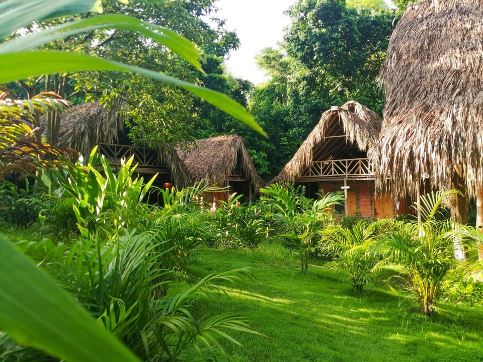 Natural landscape, Garden, Garden view