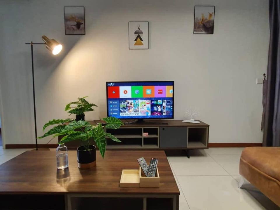 TV and multimedia