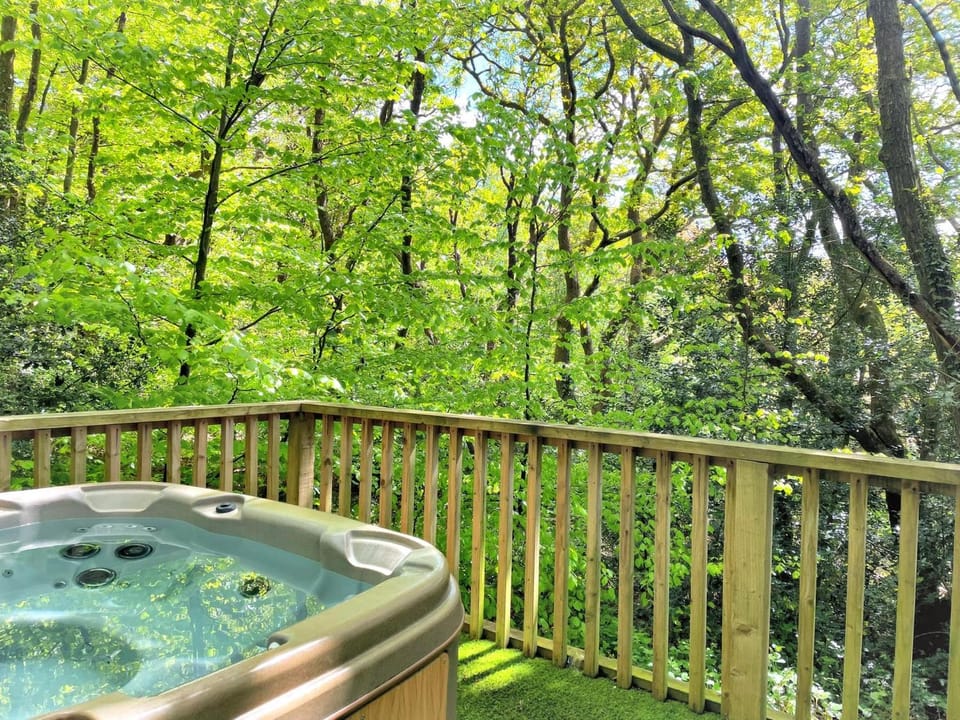 BlueStone-Hot Tub-Woodlandlodges-Pembrokeshire-Tenby Chalet in Wales