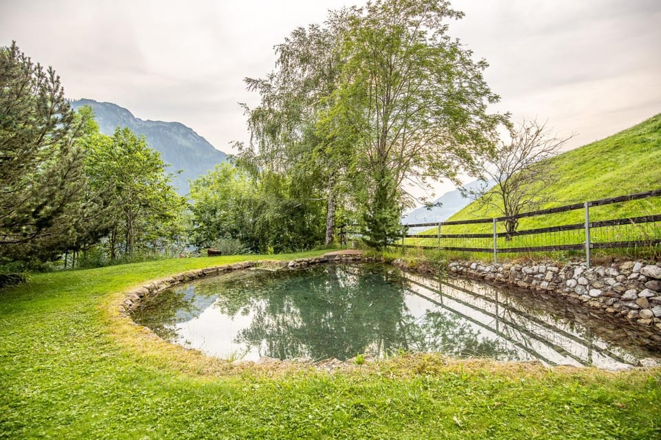 Natural landscape, Garden