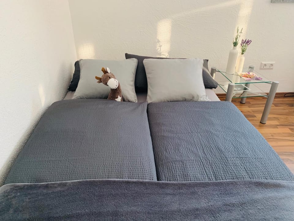 Schöne Wohnung in Röfingen Apartment in Baden-Württemberg