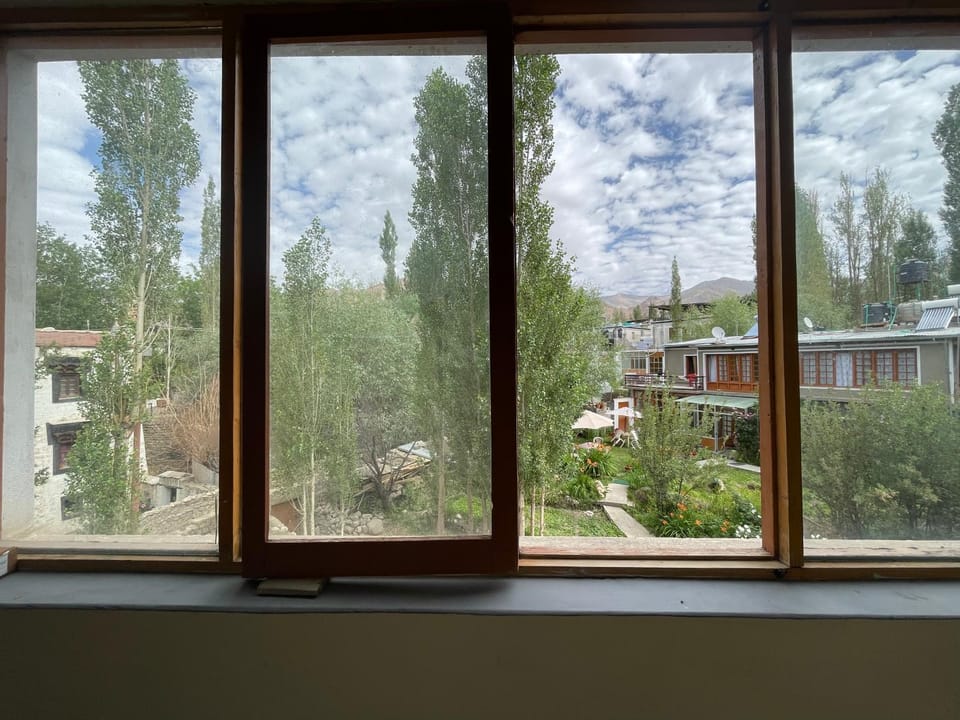 Garden view