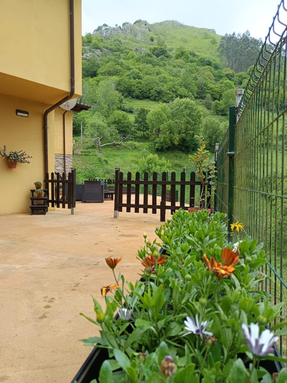 Garden view