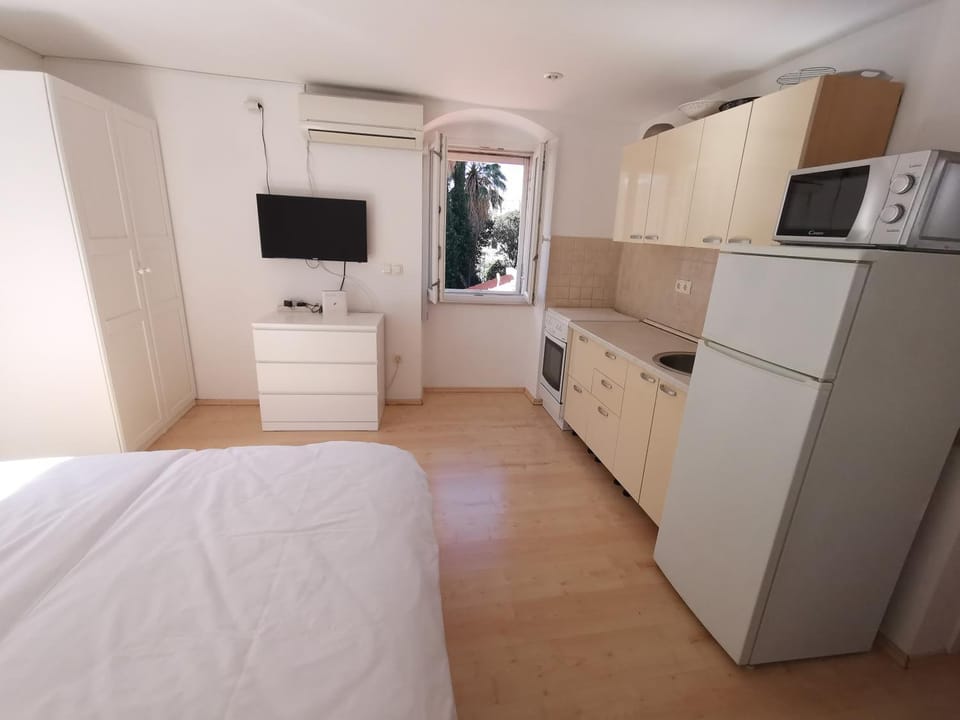 Bed, TV and multimedia, Kitchen or kitchenette, Photo of the whole room, Bedroom, pet friendly