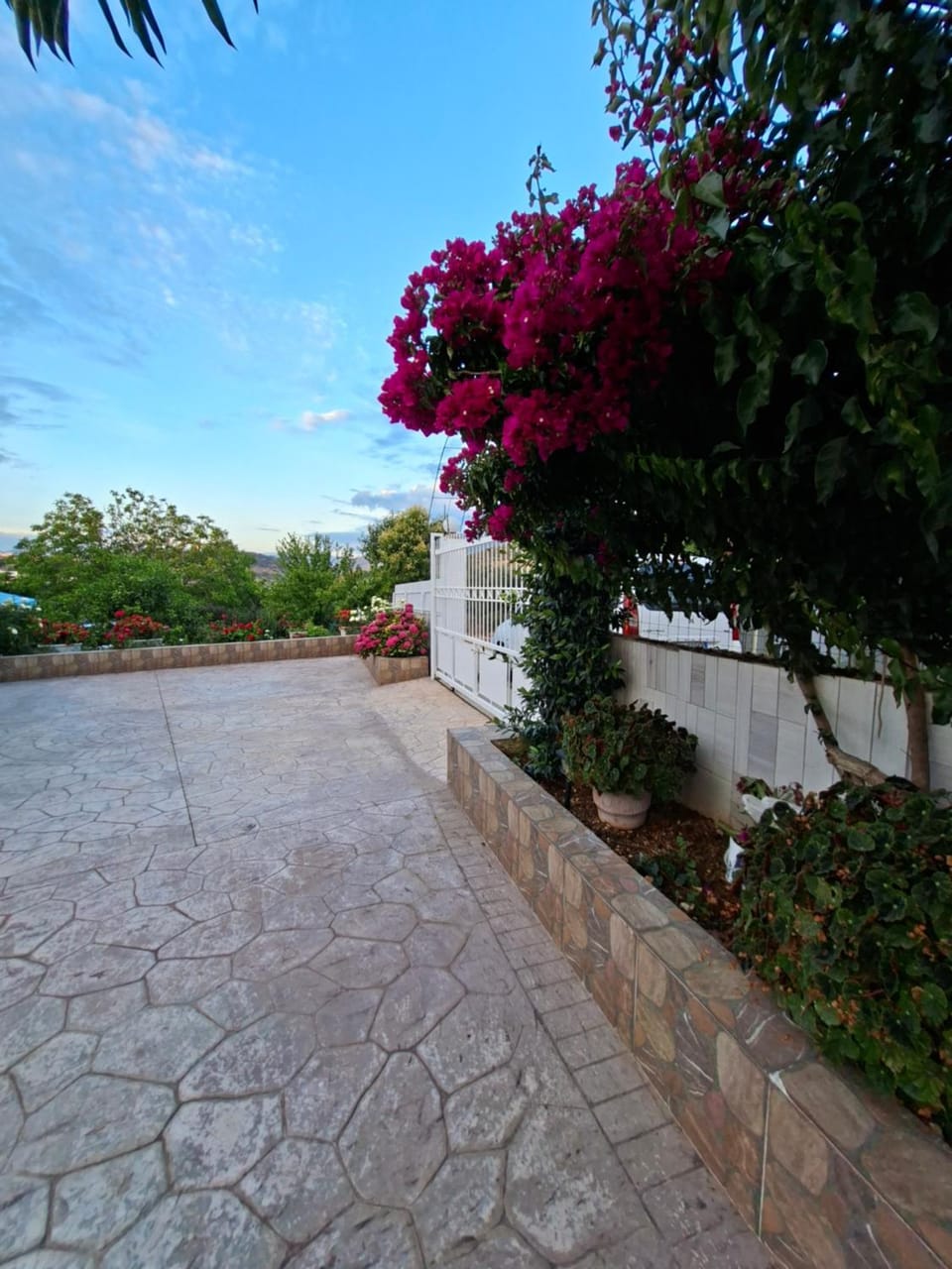 Garden view