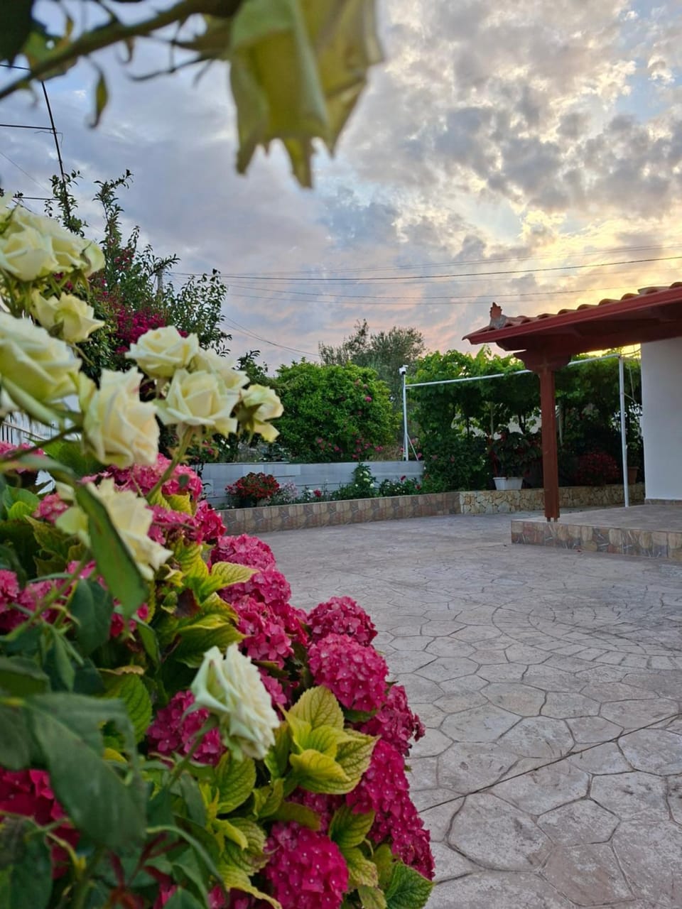 Garden, Garden view