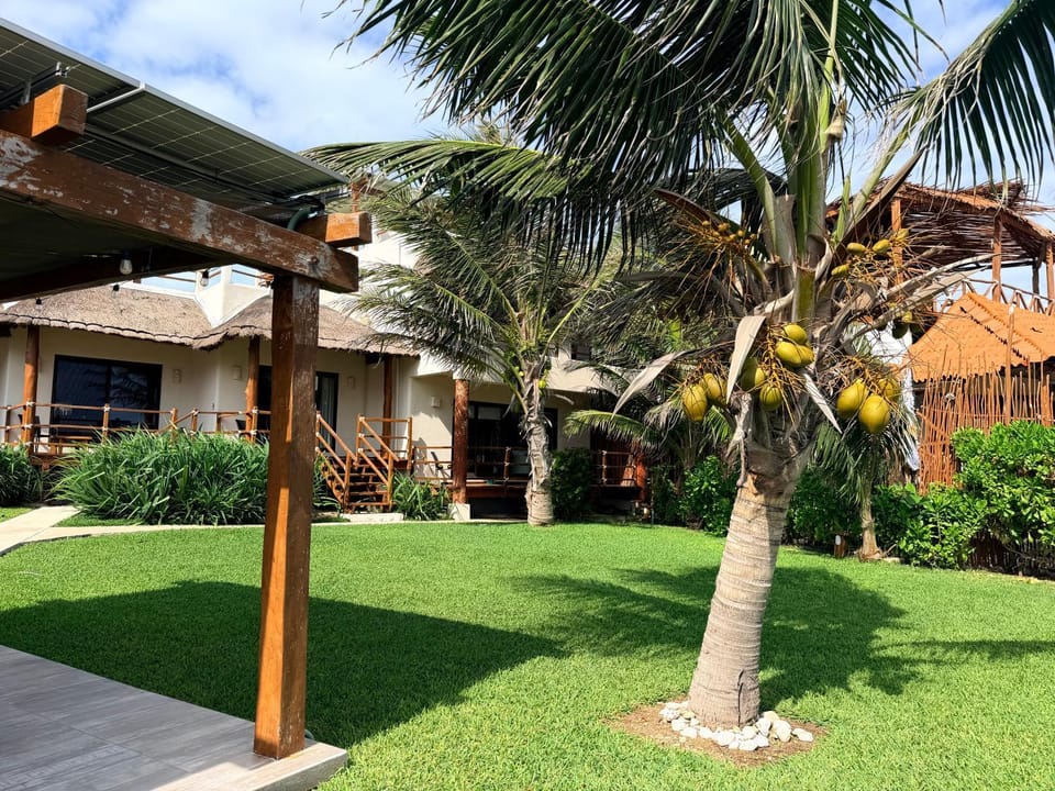 Garden, Garden view