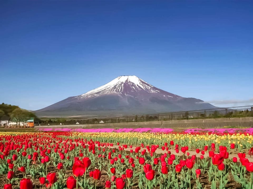 Minamitsuru-gun - Hotel / Vacation STAY 45535 Hotel in Shizuoka Prefecture