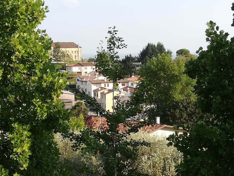 Neighbourhood