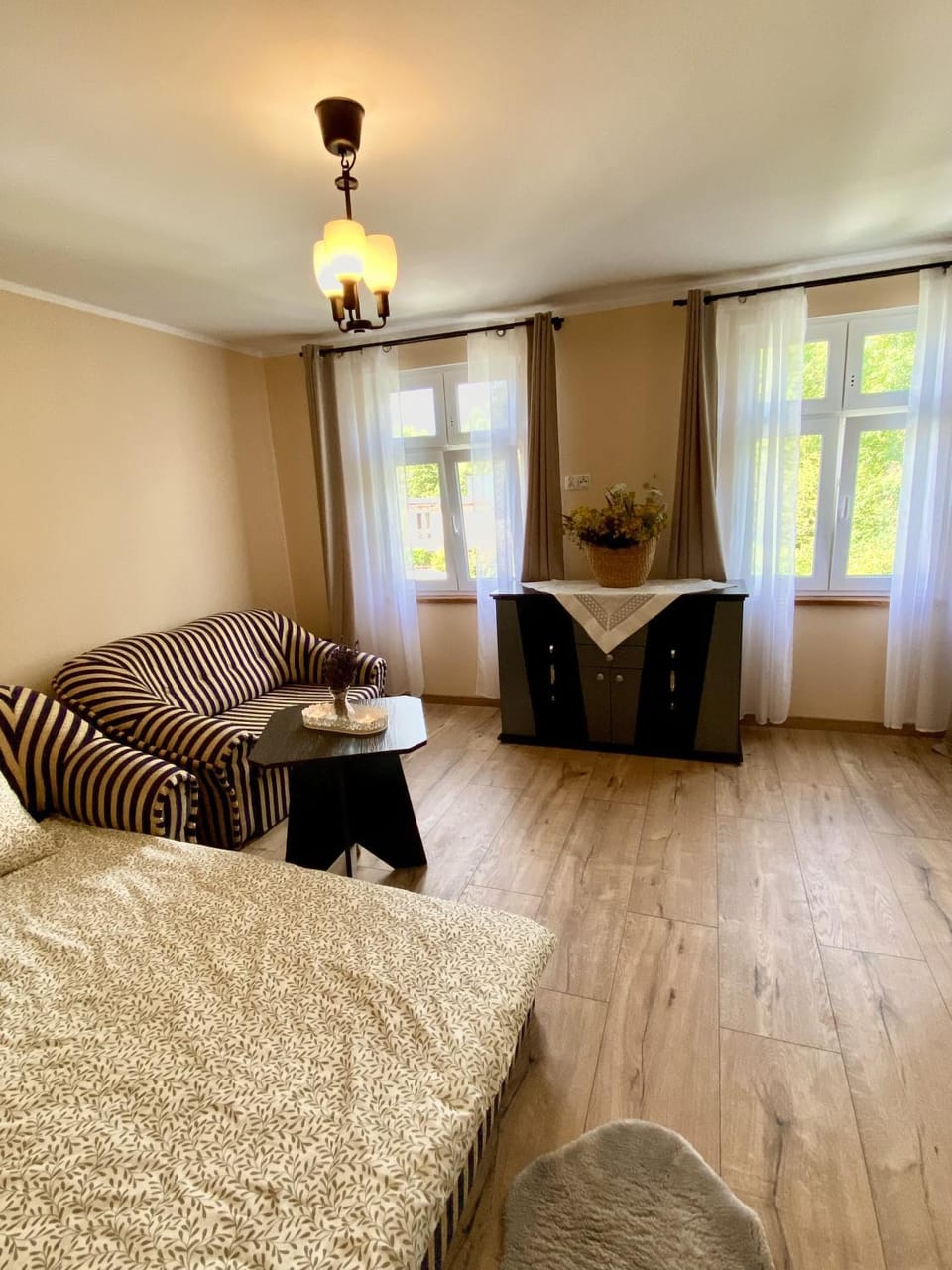 Bed, Living room, Photo of the whole room, Bedroom