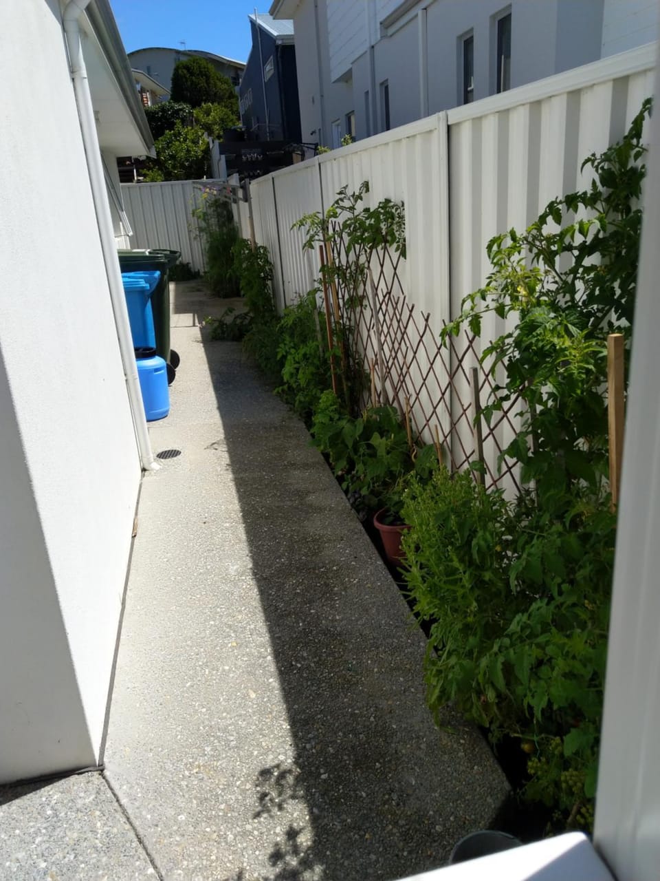 Property building, Garden, Other, Garden view
