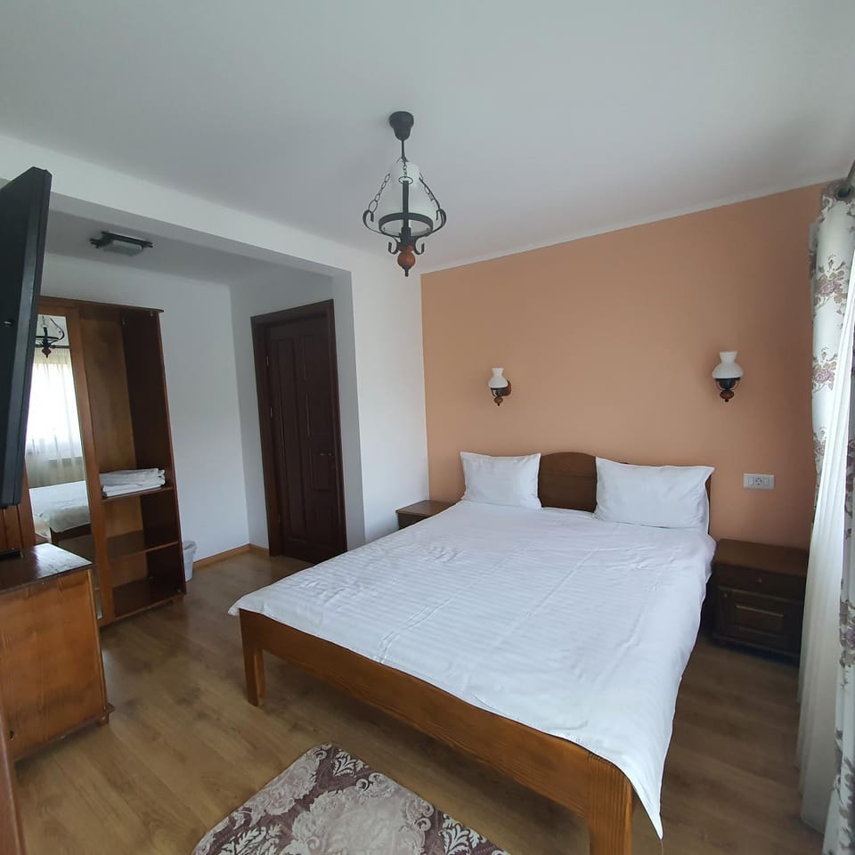 Casa Sofia Vacation rental in Romania