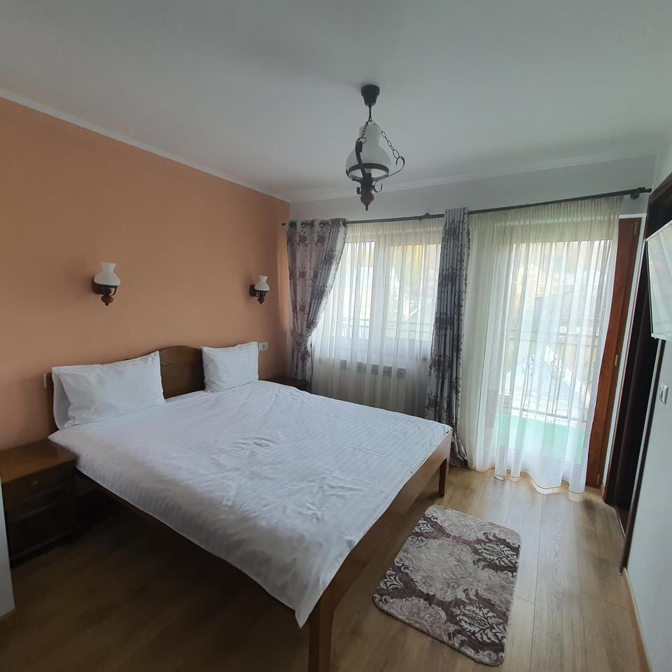 Casa Sofia Vacation rental in Romania