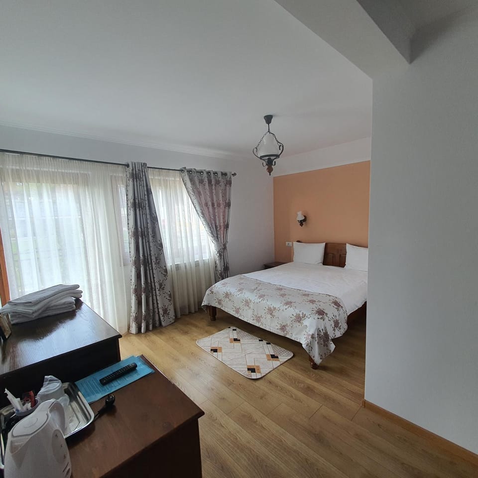 Casa Sofia Vacation rental in Romania