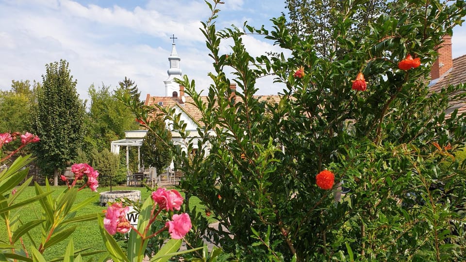 Restaurant/places to eat, Garden