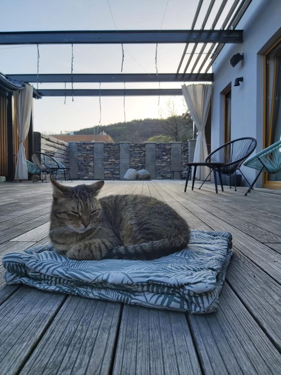 Balcony/Terrace