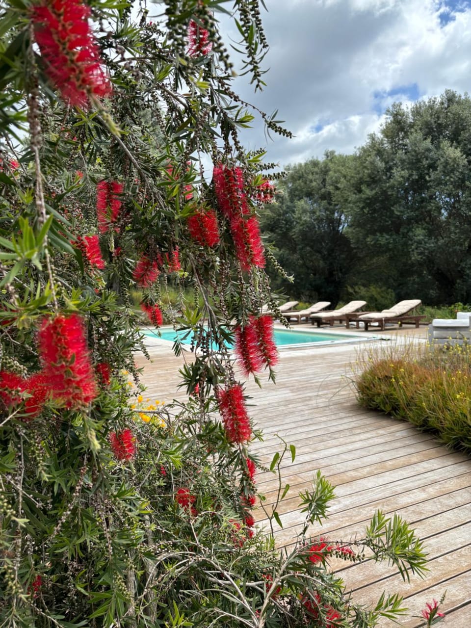 Domaine de Tappa - Casa Filicina Villa in Corsica