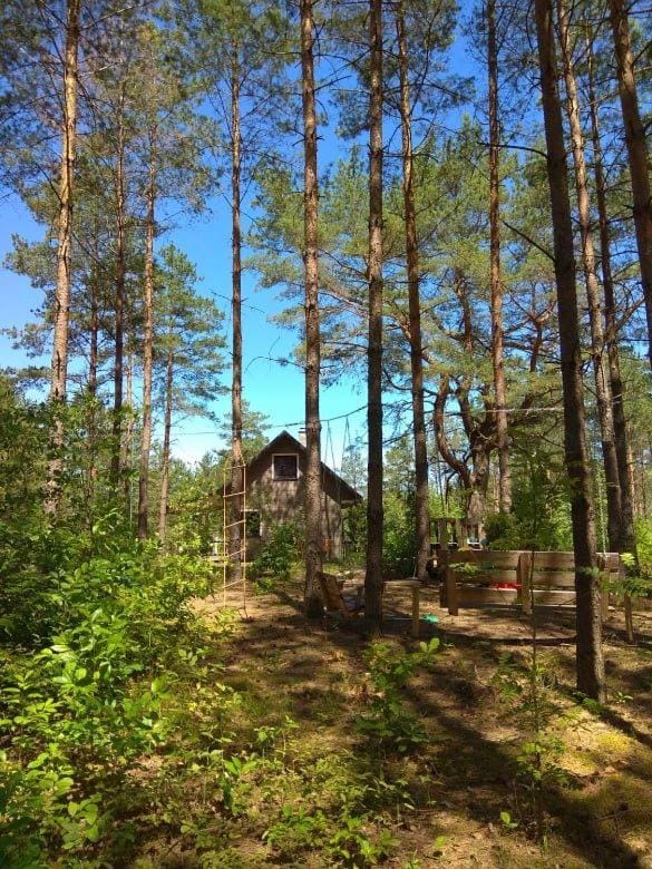 Natural landscape, Children play ground, Garden, Hiking, Animals